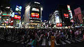 Shibuya Crossing